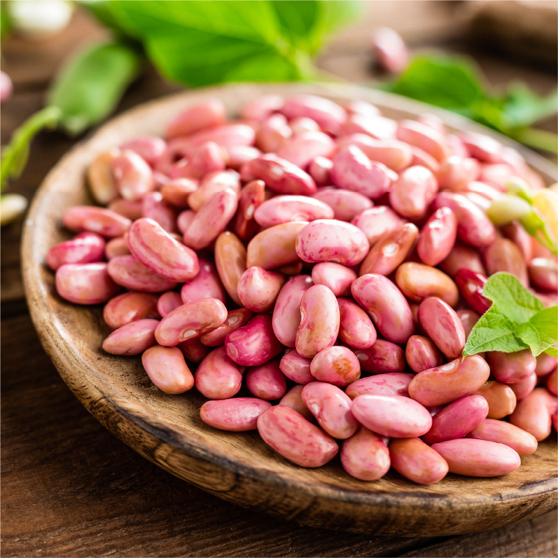 HOPE Formula kidney beans